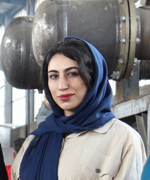 Hamideh KHademzadeh