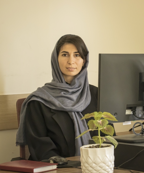 انیسه صابری